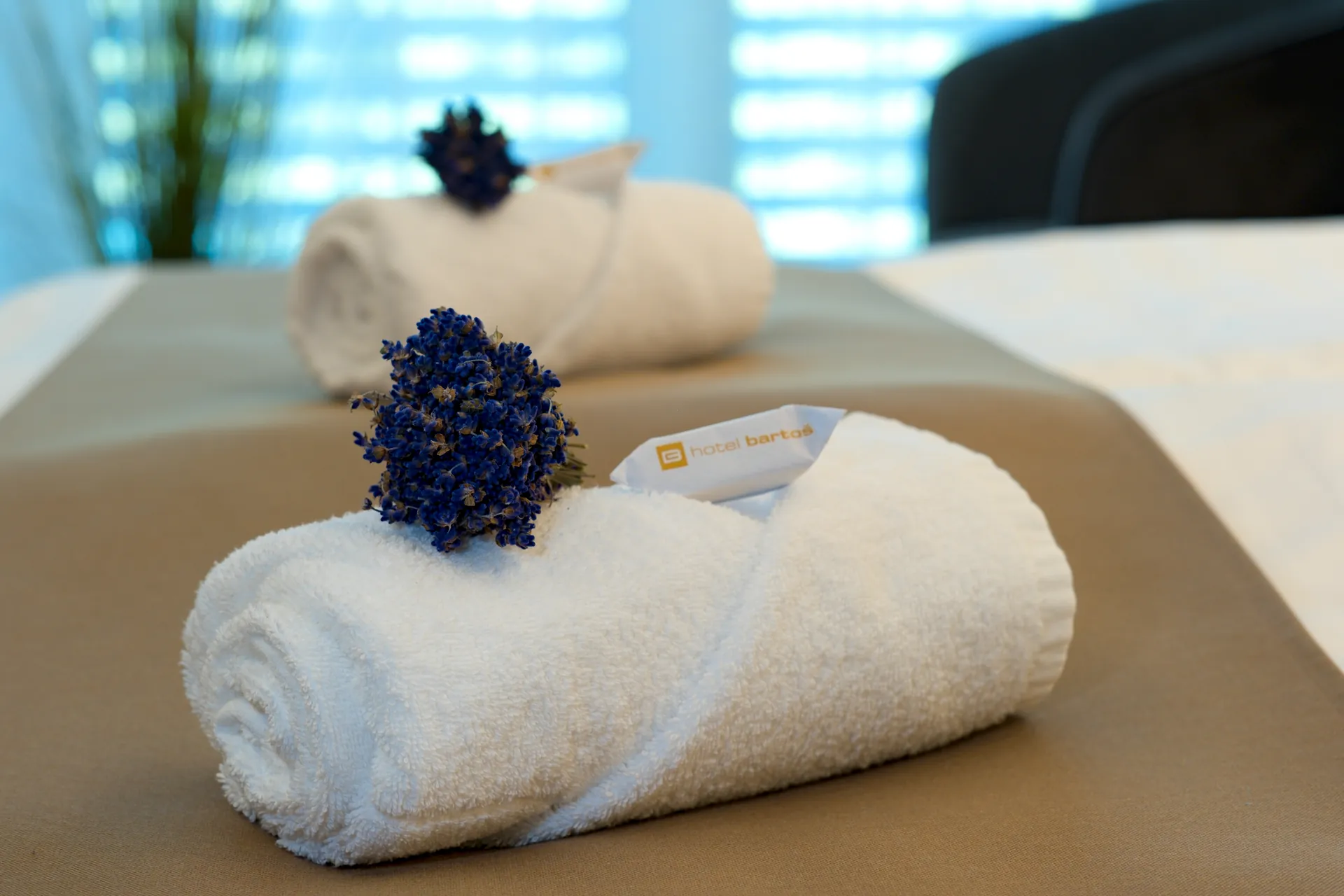 Ubytování - Apartmán DE LUXE